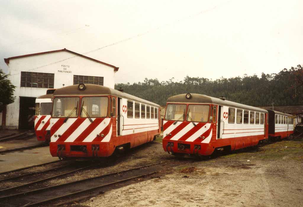 Dmu802.jpg