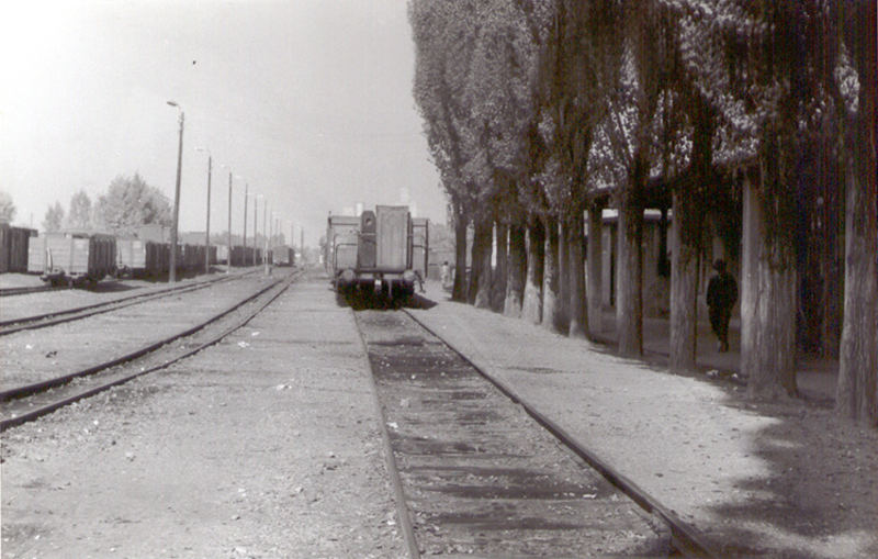 bijeljina19751.jpg