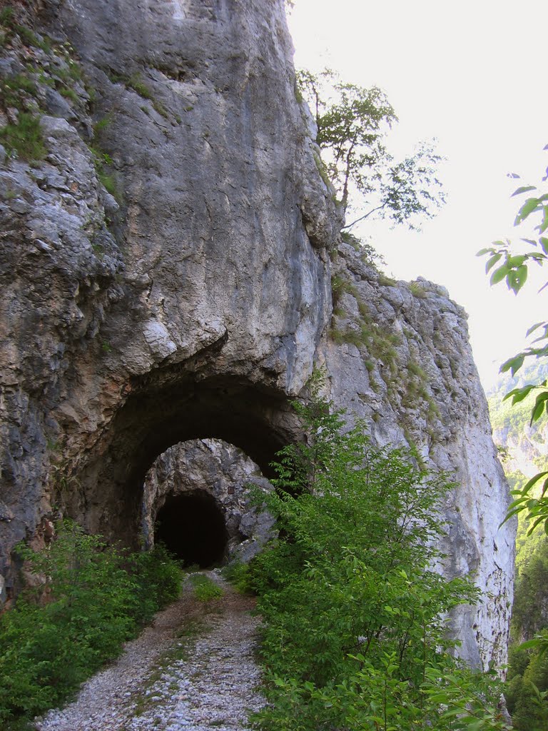 Stari-tunel.jpg