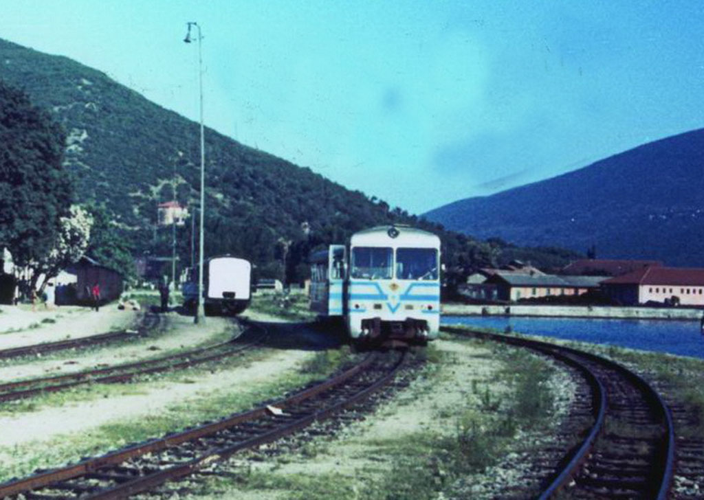 zelenikazs_zps916e754a.jpg