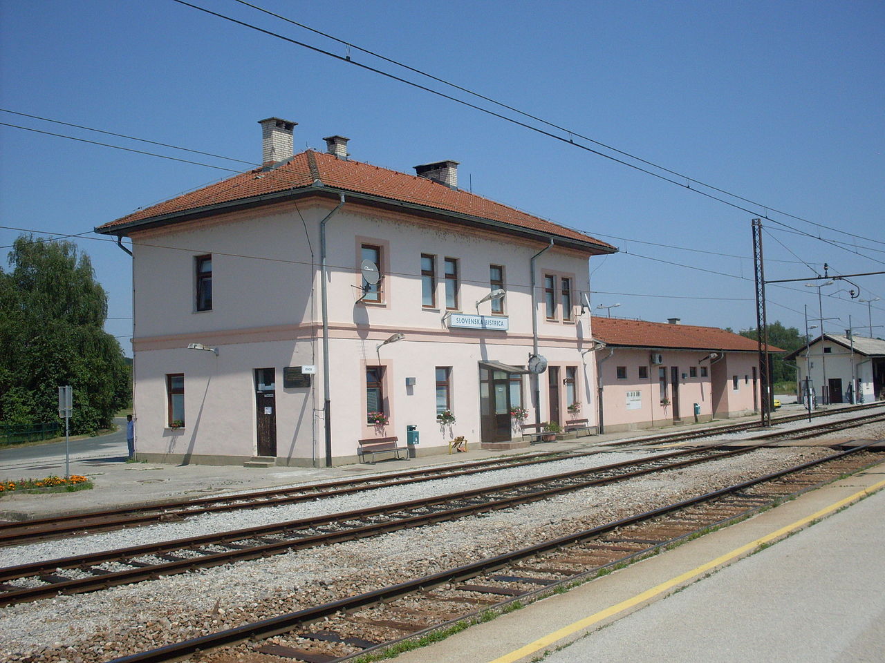 06.jpg