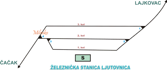 ljutovnica-1.gif