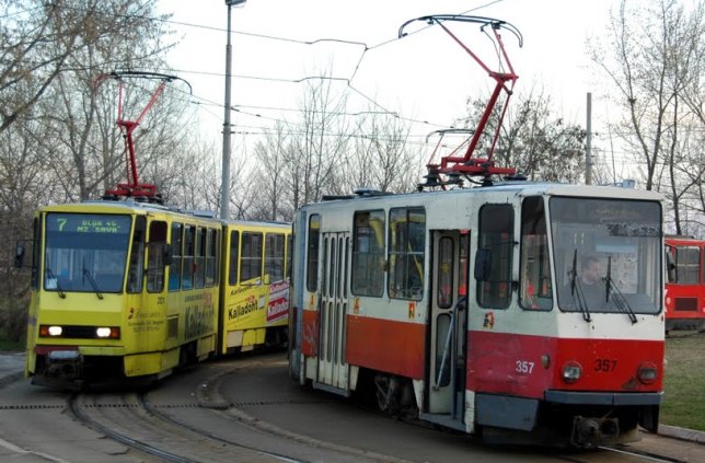 33493942.jpg