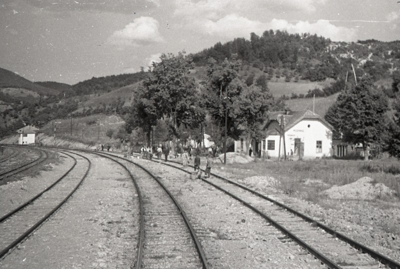 modrinje21.jpg