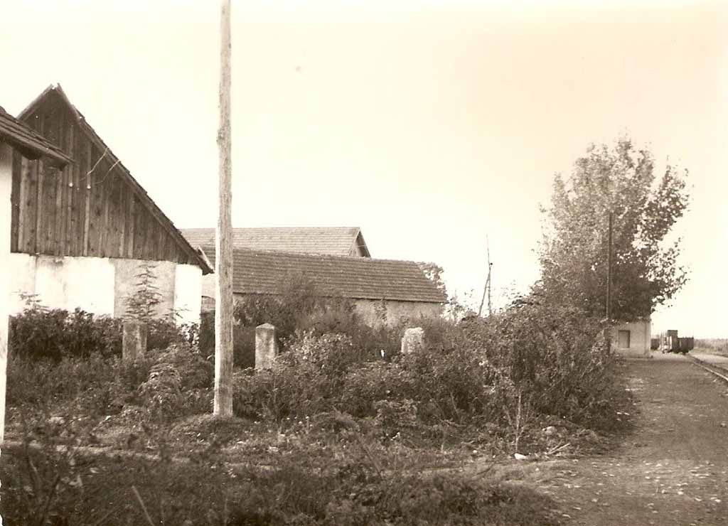 NovoSeloSt1_zps504ad6f5.jpg
