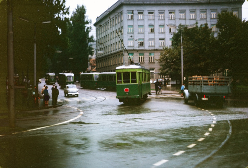 jasenica33222.jpg