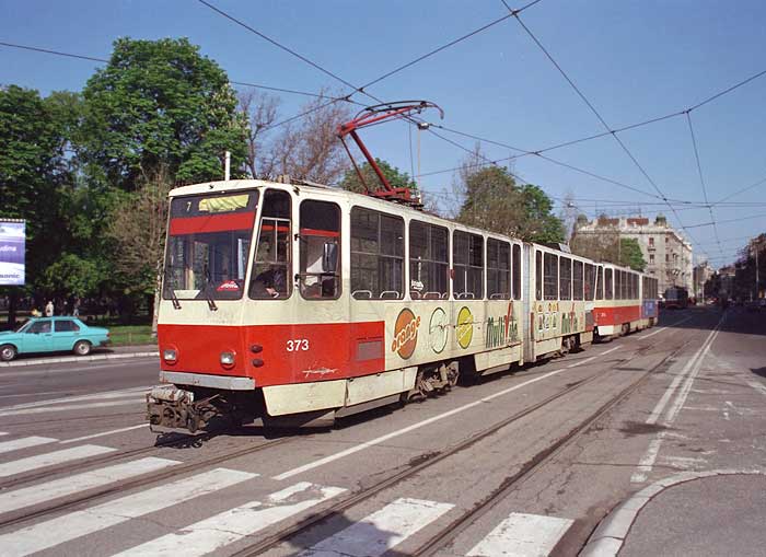373.jpg