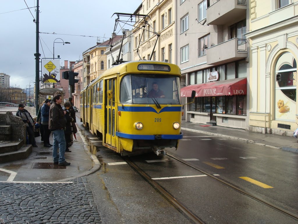 33453321.jpg