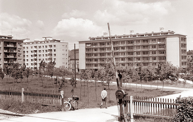 01.jpg