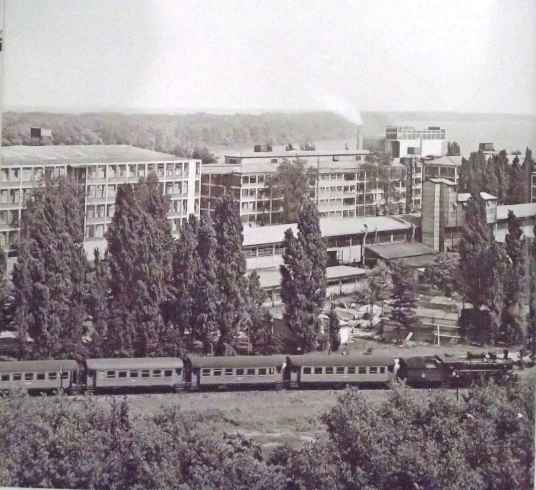 06.jpg