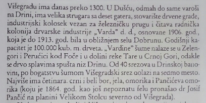 Dusce.jpg