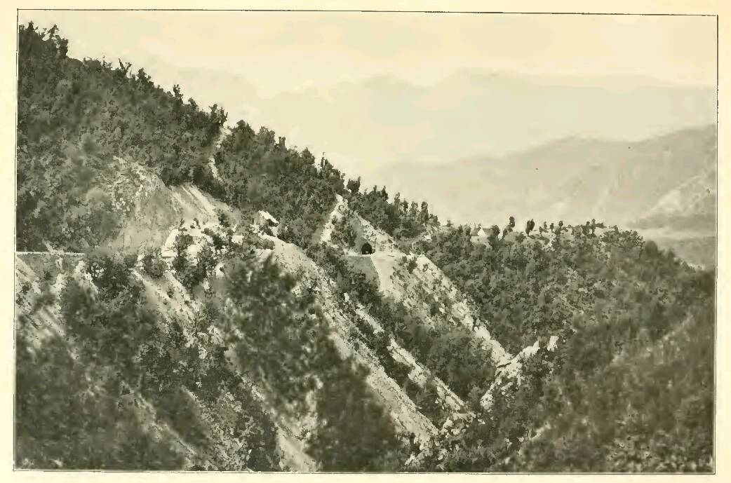 Bradina.Podorasac.jpg