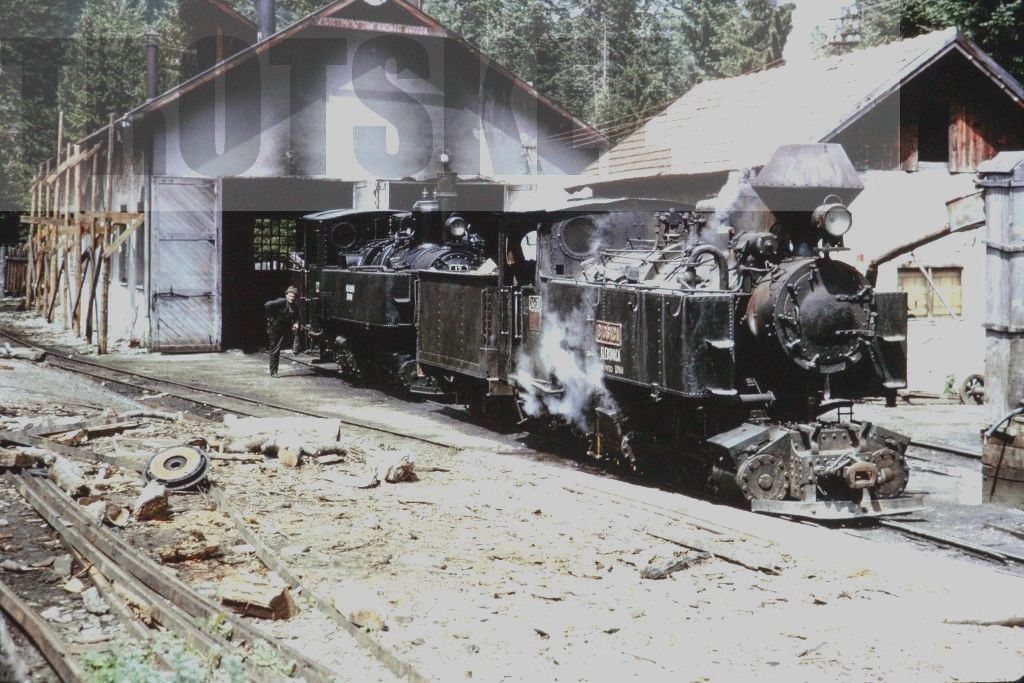 s-l1600 Industrial Steam Loco 1967 Duplicate P Gray.jpg