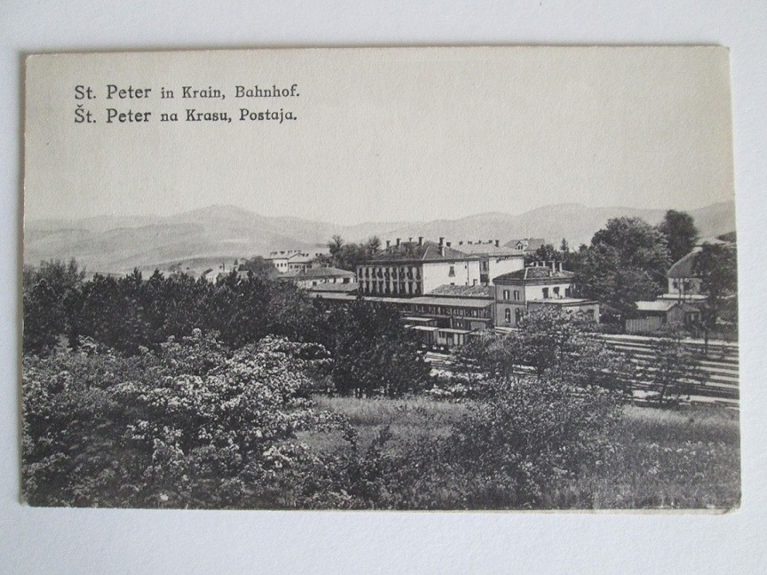 s-l1600 Pivka.jpg