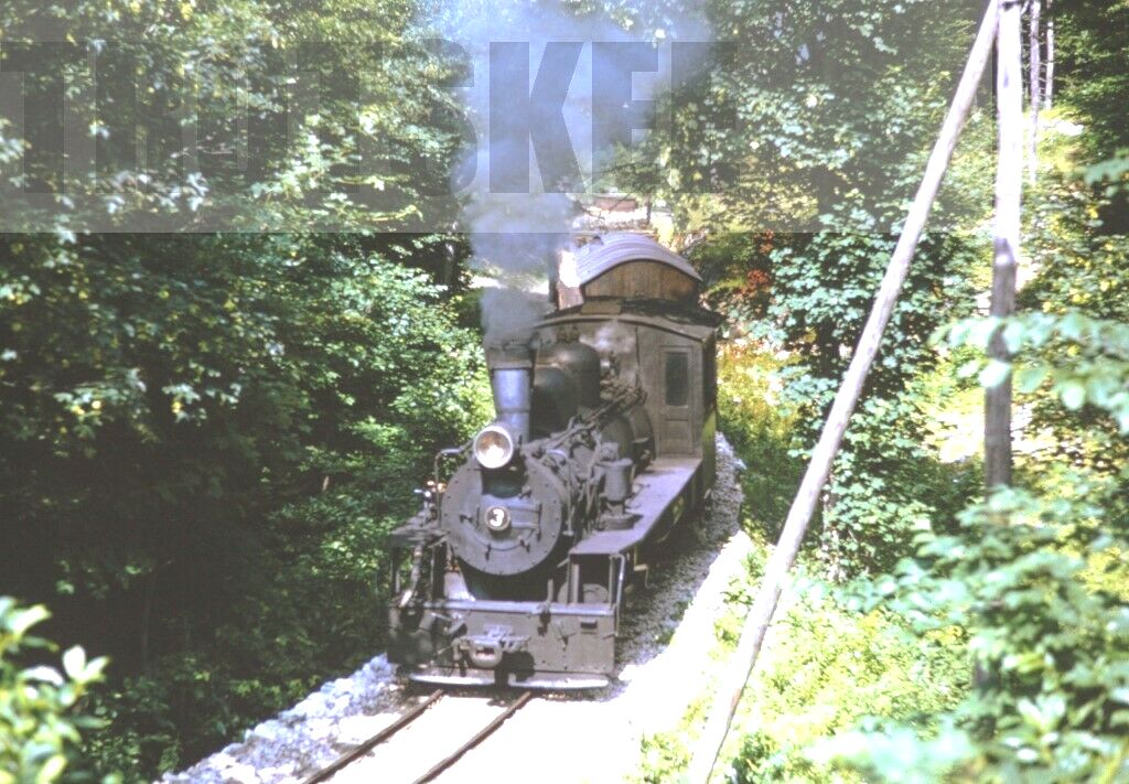s-l1600 Steam 3 Lisna 1966 Duplicate P Gray.jpg