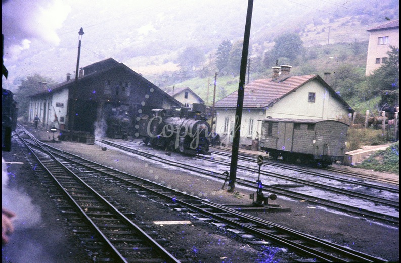 31 Dolac.jpg