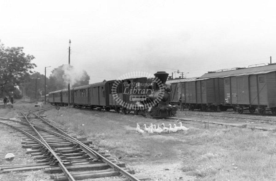 PG4742-600x600 40.43 at Belizce in 1966.jpg