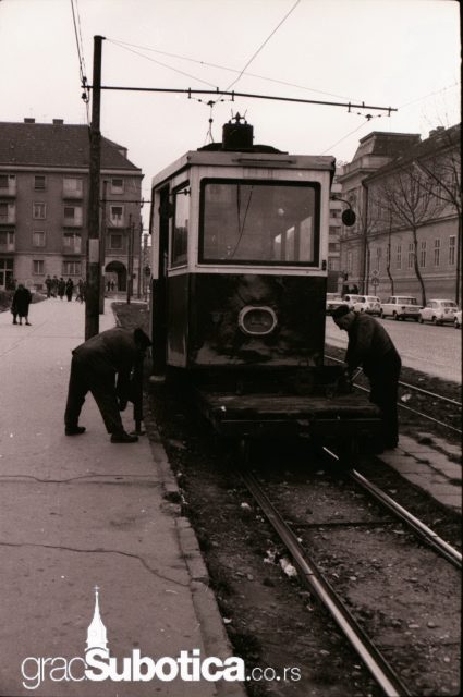 Subotički tramvaj.jpg