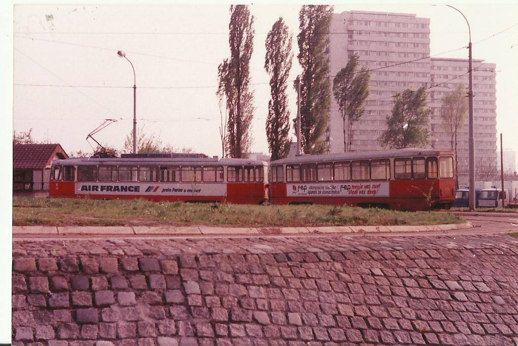 djuro (7).jpg