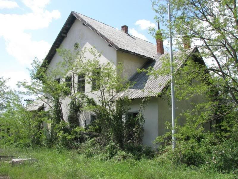 Pribudić.jpg