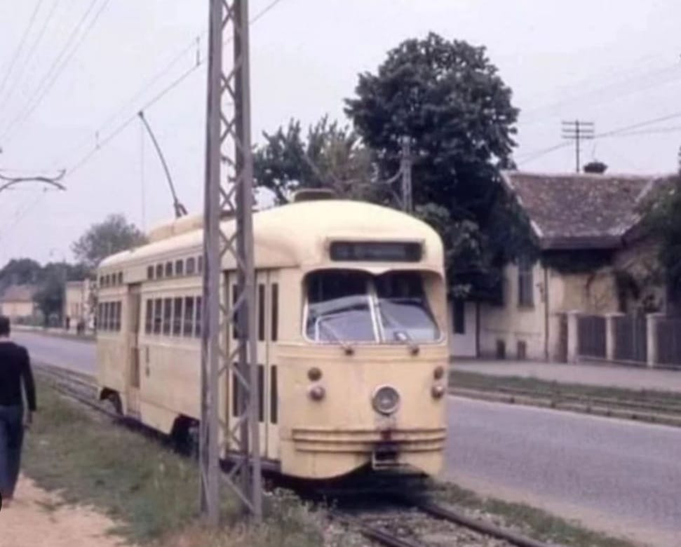 Vojvode Stepe, 1963. godina.jpg