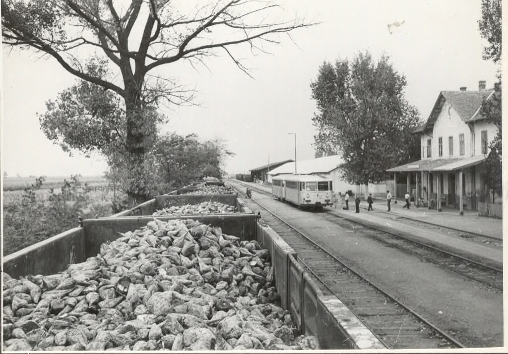1977.septembar,Kovačica.jpg