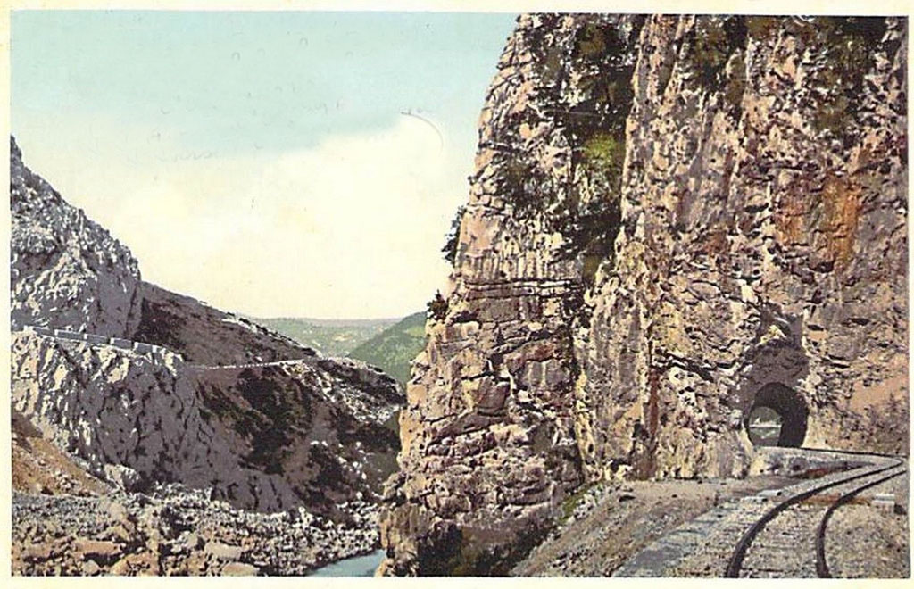 Glogosnica1.jpg