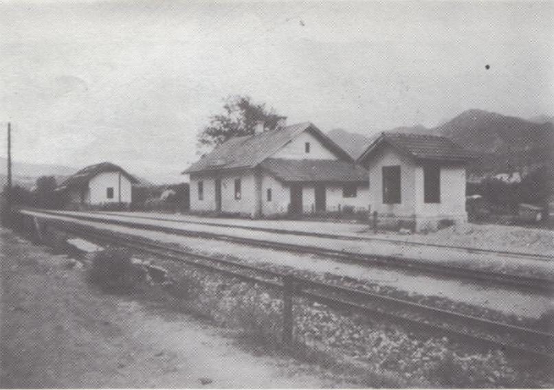 lisicici.jpg
