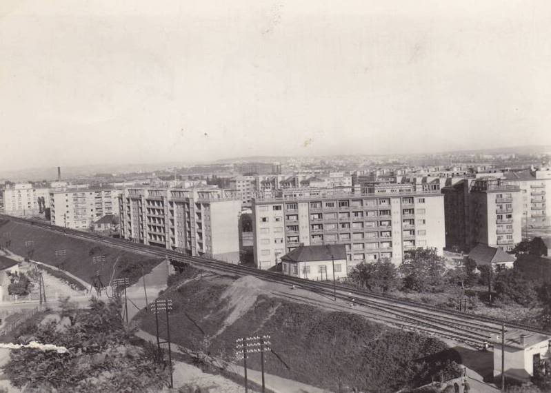 starapruga123423cf.jpg