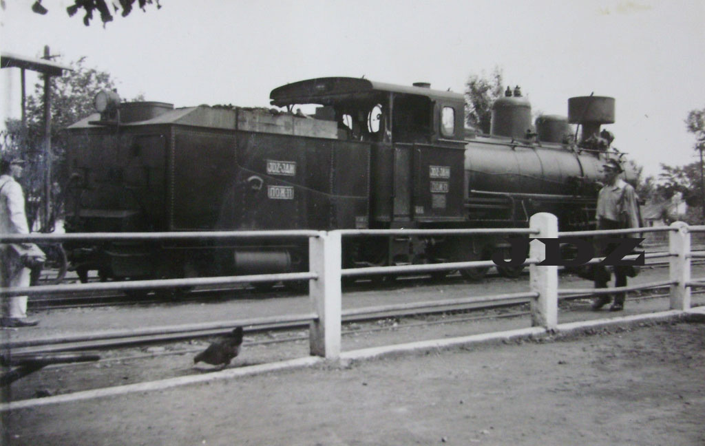 POZ-11.jpg