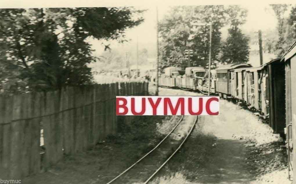 bos1.jpg