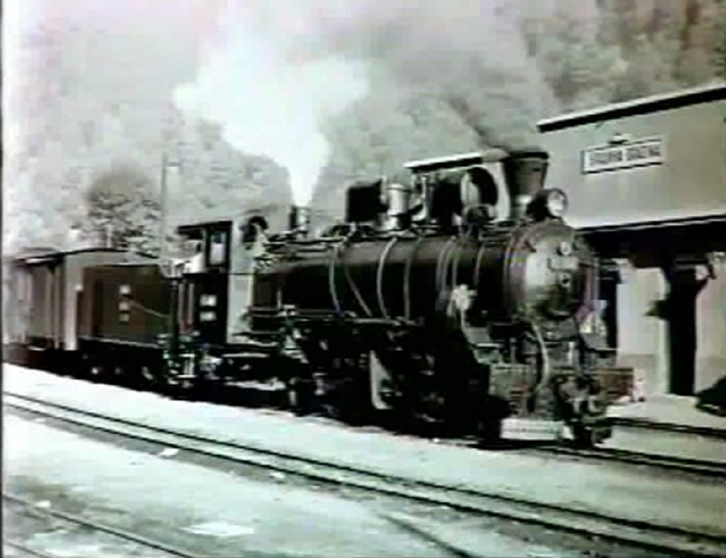 Bradina1.jpg