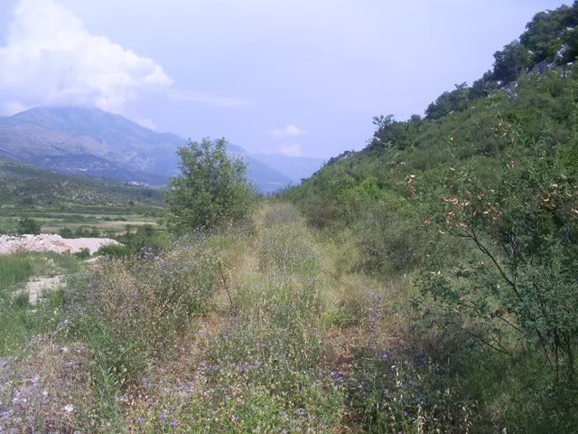 cav-cil-4.jpg