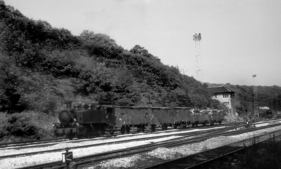 11692777_935166139873019_6464213788198017740_n Topčider 1969.jpg