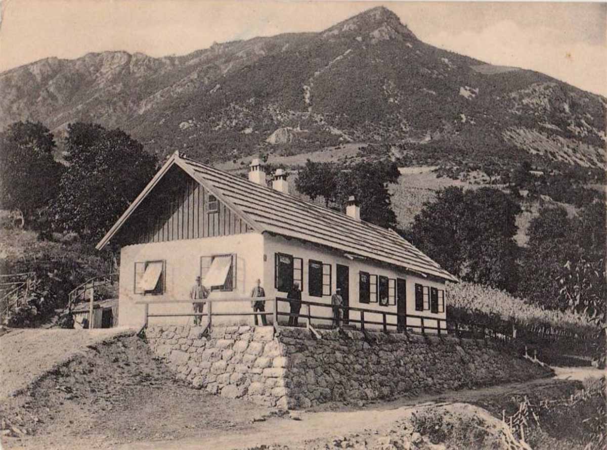 Medjedja.jpg