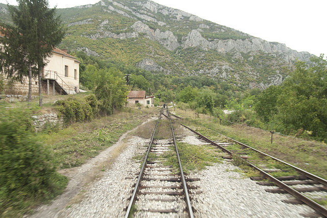 PICT0375.jpg