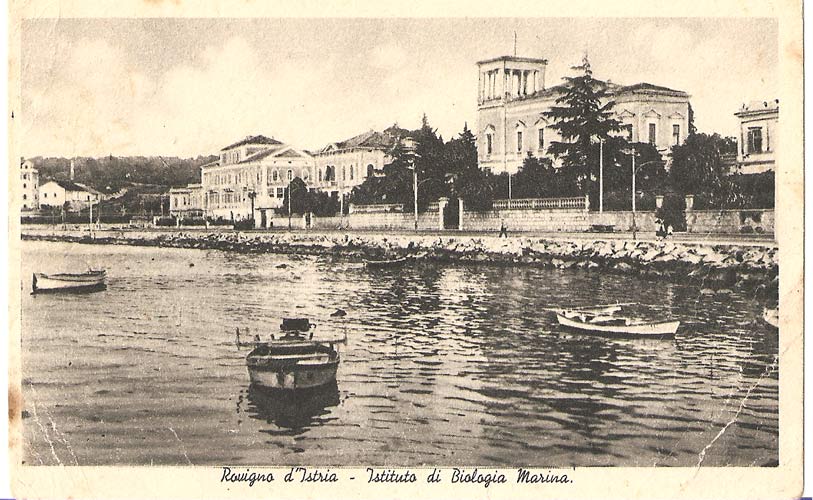 Rovinj.jpg