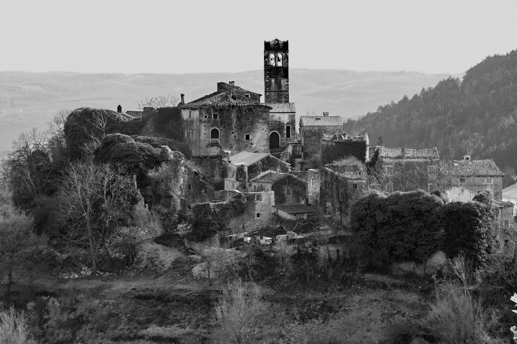 Piemonte.d.Istria.jpg